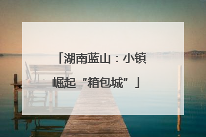 湖南蓝山：小镇崛起“箱包城”