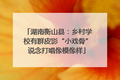 湖南衡山县：乡村学校有群皮影“小戏骨” 说念打唱像模像样