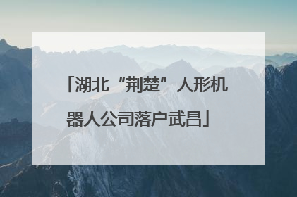 湖北“荆楚”人形机器人公司落户武昌
