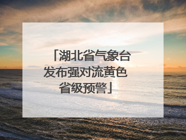 湖北省气象台发布强对流黄色省级预警