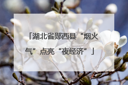 湖北省郧西县“烟火气”点亮“夜经济”