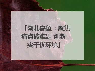 湖北嘉鱼：聚焦痛点破难题 创新实干优环境
