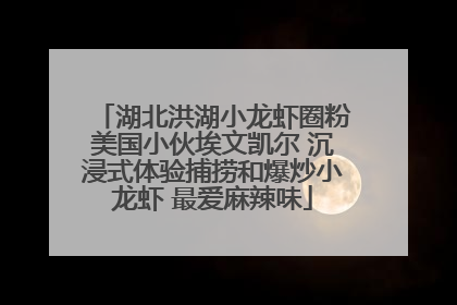 湖北洪湖小龙虾圈粉美国小伙埃文凯尔 沉浸式体验捕捞和爆炒小龙虾 最爱麻辣味