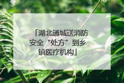 湖北通城送消防安全“处方”到乡镇医疗机构