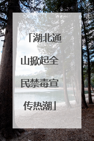 湖北通山掀起全民禁毒宣传热潮