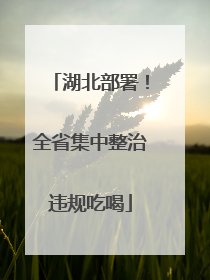 湖北部署！全省集中整治违规吃喝