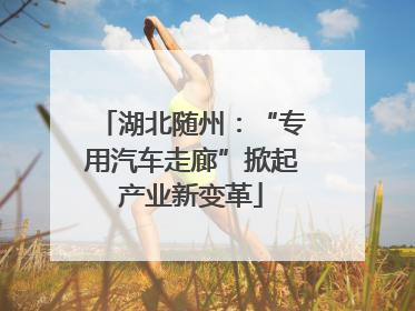 湖北随州：“专用汽车走廊”掀起产业新变革