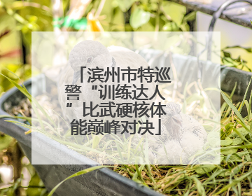 滨州市特巡警“训练达人”比武硬核体能巅峰对决