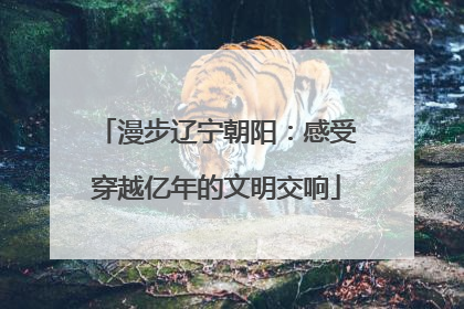 漫步辽宁朝阳：感受穿越亿年的文明交响