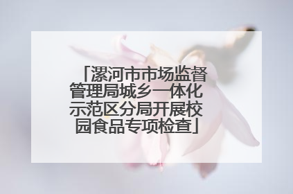 漯河市市场监督管理局城乡一体化示范区分局开展校园食品专项检查