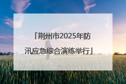 荆州市2025年防汛应急综合演练举行