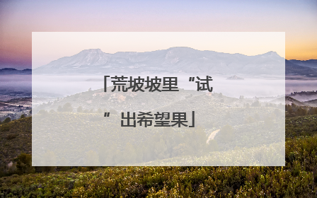 荒坡坡里“试”出希望果
