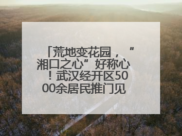 荒地变花园，“湘口之心”好称心！武汉经开区5000余居民推门见绿满眼风景