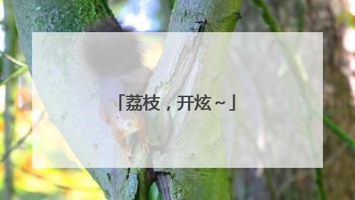 荔枝，开炫～