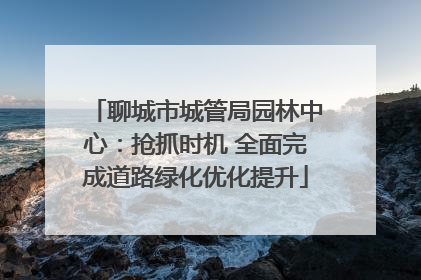 聊城市城管局园林中心：抢抓时机 全面完成道路绿化优化提升