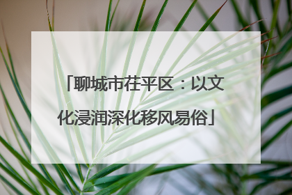 聊城市茌平区：以文化浸润深化移风易俗