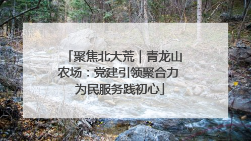 聚焦北大荒｜青龙山农场：党建引领聚合力 为民服务践初心