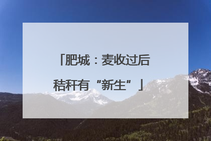 肥城：麦收过后秸秆有“新生”