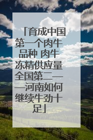 育成中国第一个肉牛品种 肉牛冻精供应量全国第二——河南如何继续牛劲十足