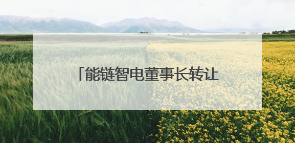 能链智电董事长转让团油科技，2024年年报至今未能发布