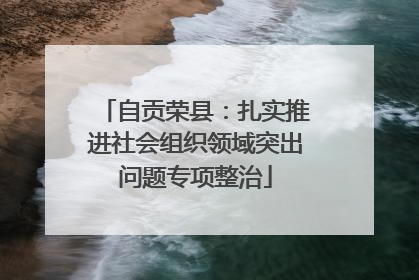 自贡荣县：扎实推进社会组织领域突出问题专项整治