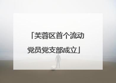芙蓉区首个流动党员党支部成立