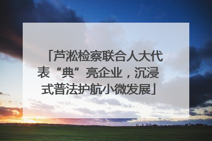 芦淞检察联合人大代表“典”亮企业，沉浸式普法护航小微发展