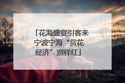 花海盛宴引客来 宁波宁海“赏花经济”别样红