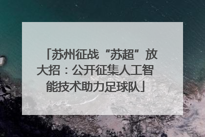 苏州征战“苏超”放大招：公开征集人工智能技术助力足球队