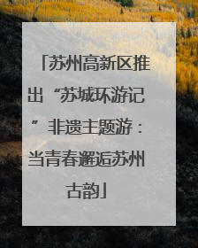 苏州高新区推出“苏城环游记”非遗主题游：当青春邂逅苏州古韵
