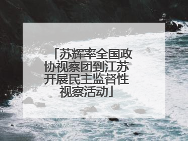 苏辉率全国政协视察团到江苏开展民主监督性视察活动