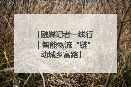 融媒记者一线行｜智能物流“链”动城乡富路