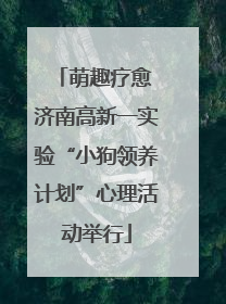 萌趣疗愈 济南高新一实验“小狗领养计划”心理活动举行