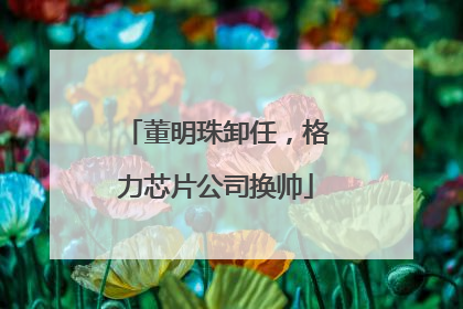 董明珠卸任，格力芯片公司换帅