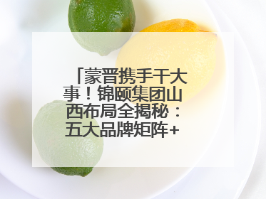 蒙晋携手干大事！锦颐集团山西布局全揭秘：五大品牌矩阵+双轮驱动模式