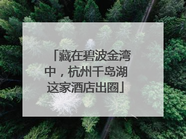 藏在碧波金湾中，杭州千岛湖这家酒店出圈