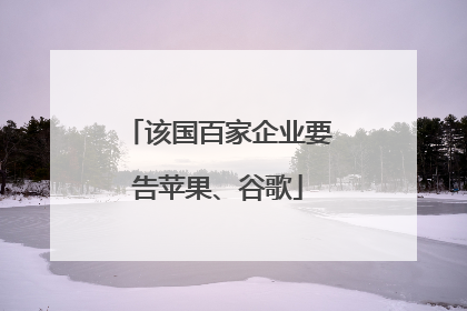 该国百家企业要告苹果、谷歌
