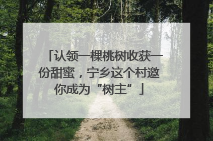 认领一棵桃树收获一份甜蜜，宁乡这个村邀你成为“树主”