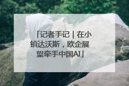 记者手记｜在小镇达沃斯，欧企展望牵手中国AI