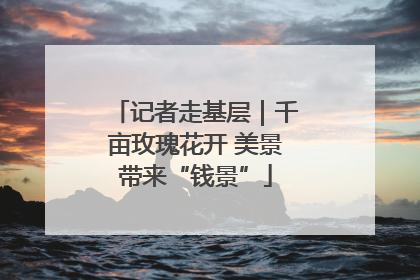 记者走基层｜千亩玫瑰花开 美景带来“钱景”