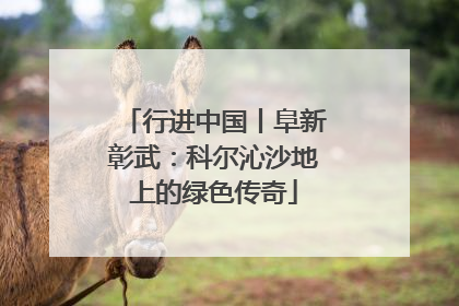 行进中国丨阜新彰武：科尔沁沙地上的绿色传奇