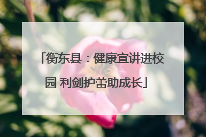 衡东县：健康宣讲进校园 利剑护蕾助成长