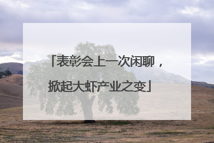 表彰会上一次闲聊，掀起大虾产业之变