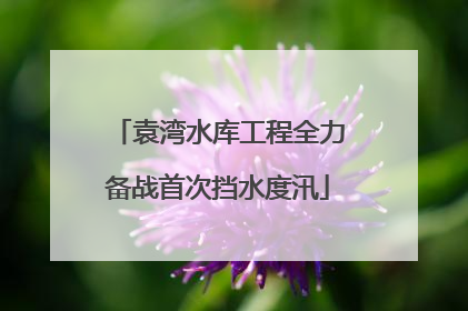 袁湾水库工程全力备战首次挡水度汛