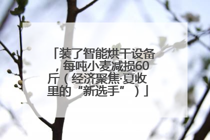 装了智能烘干设备，每吨小麦减损60斤（经济聚焦·夏收里的“新选手”）