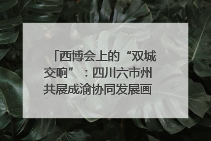 西博会上的“双城交响”：四川六市州共展成渝协同发展画卷｜西博视界