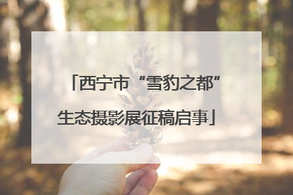 西宁市“雪豹之都”生态摄影展征稿启事