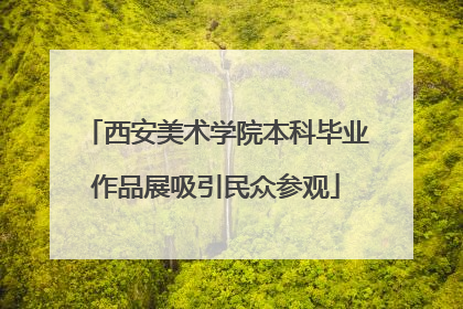 西安美术学院本科毕业作品展吸引民众参观