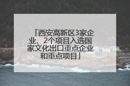 西安高新区3家企业、2个项目入选国家文化出口重点企业和重点项目