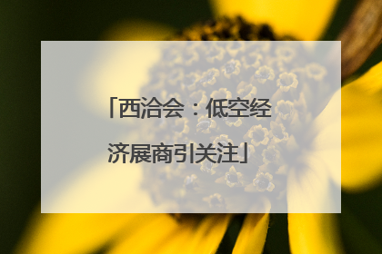 西洽会：低空经济展商引关注